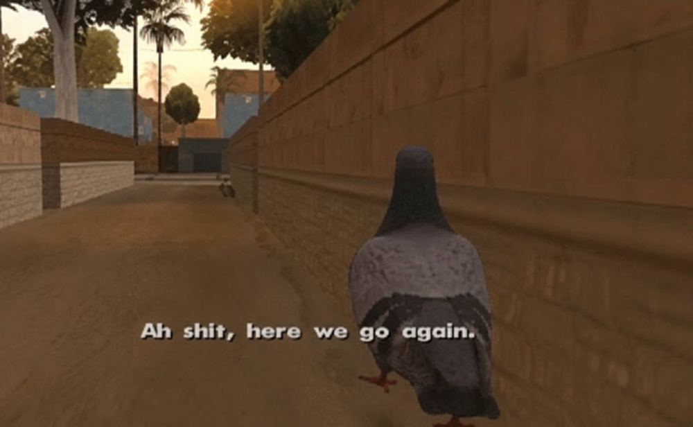 A pigeon in a sunlit alley captioned Ah shit, here we go again
