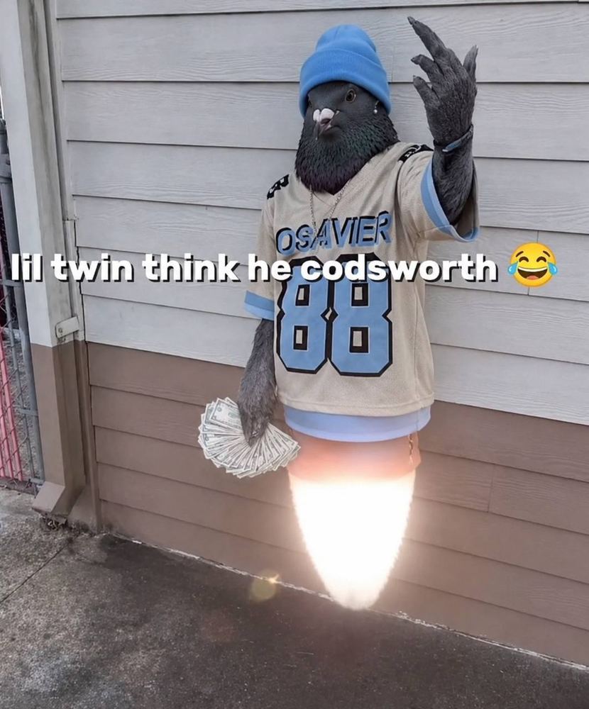 Pigeon in a beanie and jersey holding cash, rocket boosting
