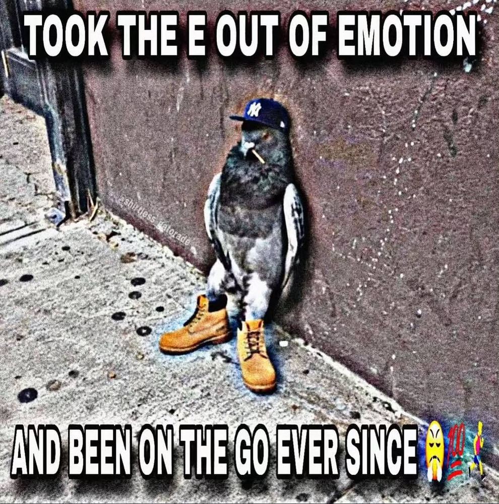 Pigeon in a fitted cap and boots leaning on a wall