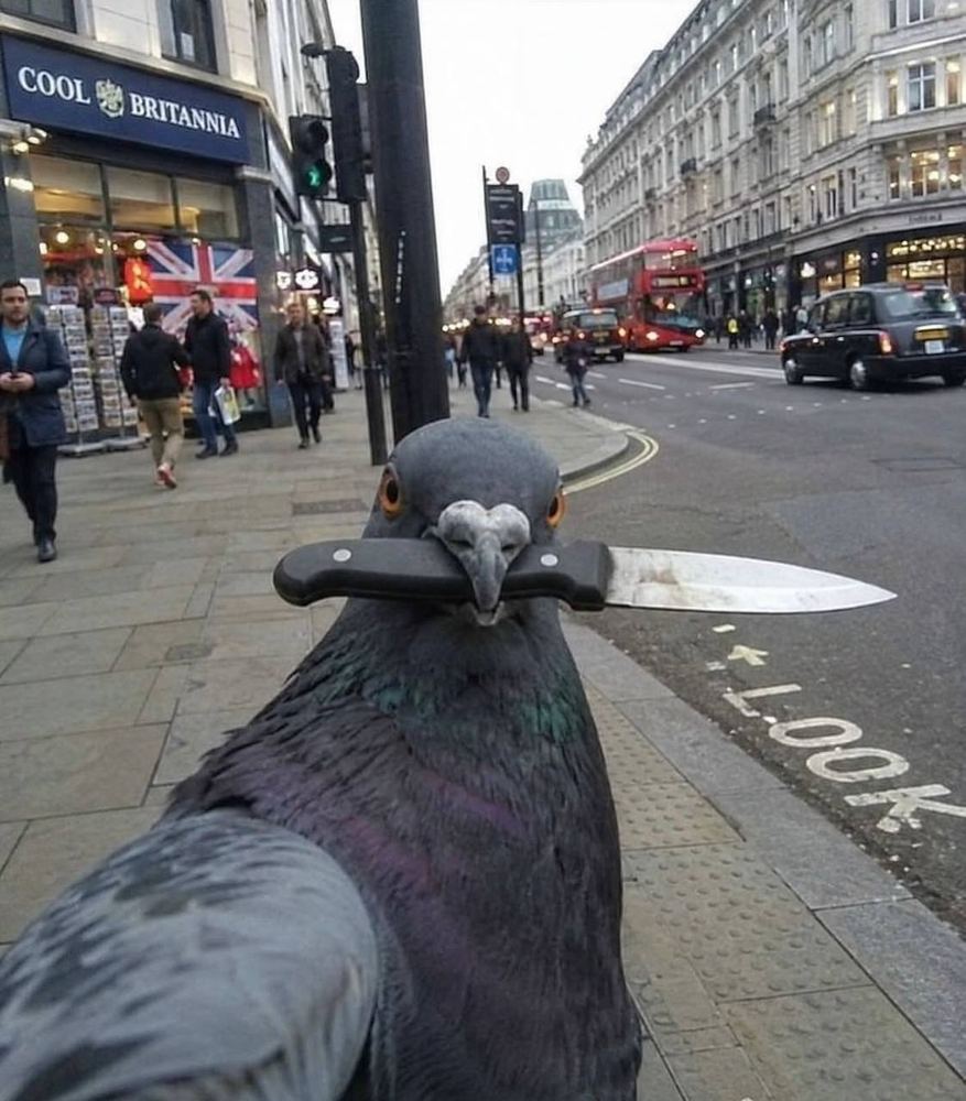 Pigeon holding a knife in its beak on a London street