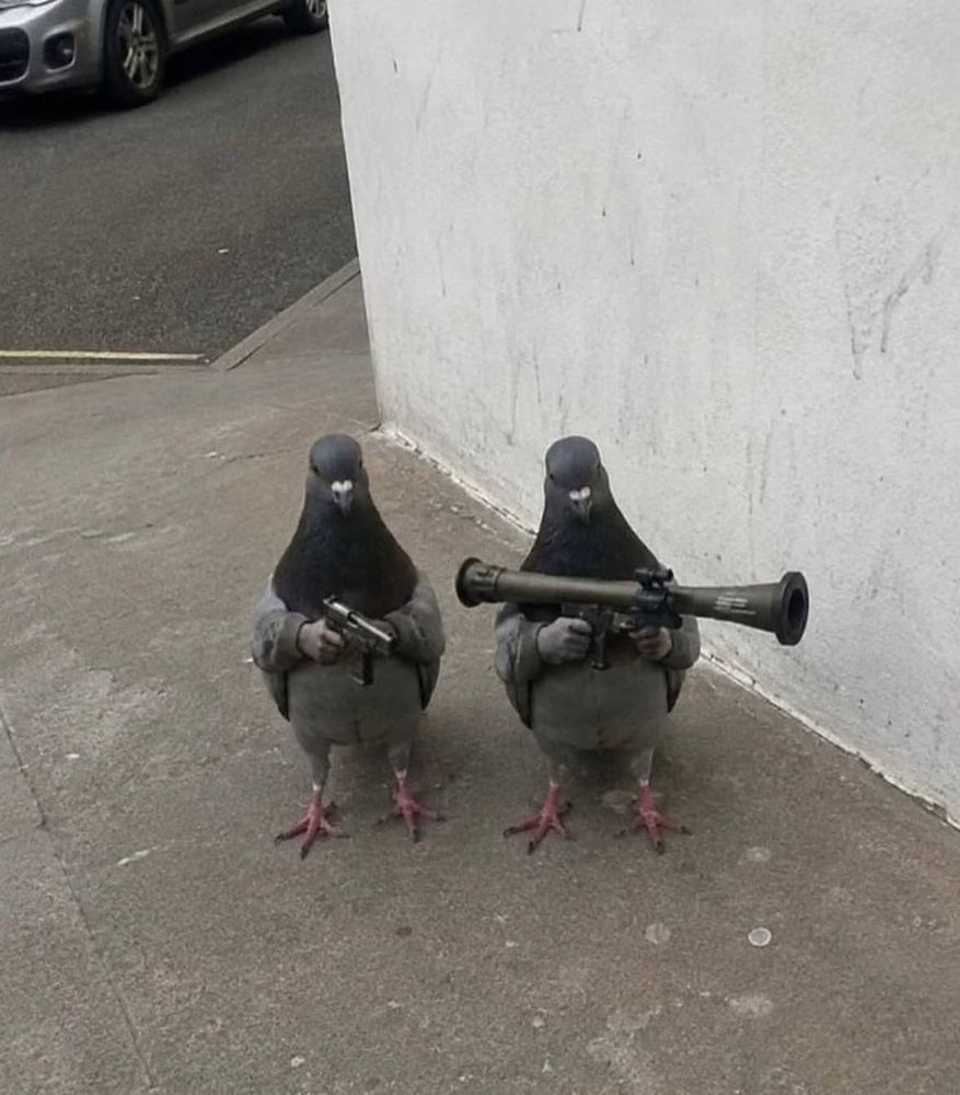 Two pigeons with arms, one holding a pistol and one a rocket launcher